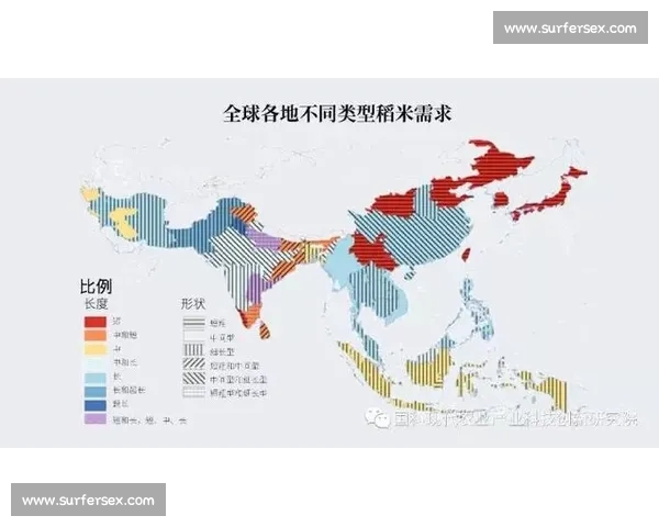 聚焦全球顶级体育赛事数据解析与胜负趋势深度洞察报告及分析决策支持